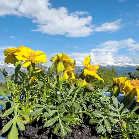 Chamois Az10 By Interhome